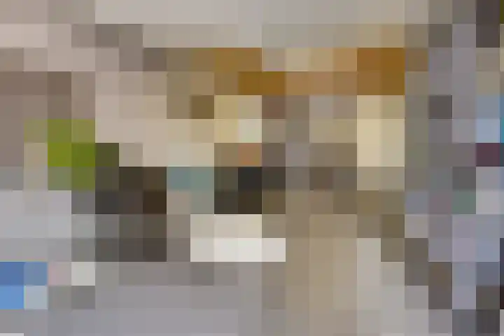 Kerktorenstraat 68 Veldhoven thumbnail 21