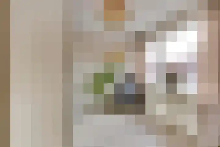 Kerktorenstraat 68 Veldhoven thumbnail 26