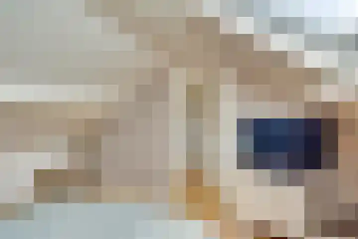 Kerktorenstraat 68 Veldhoven thumbnail 32
