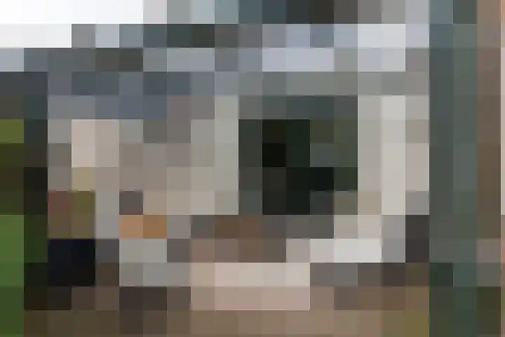 Kerktorenstraat 68 Veldhoven thumbnail 33