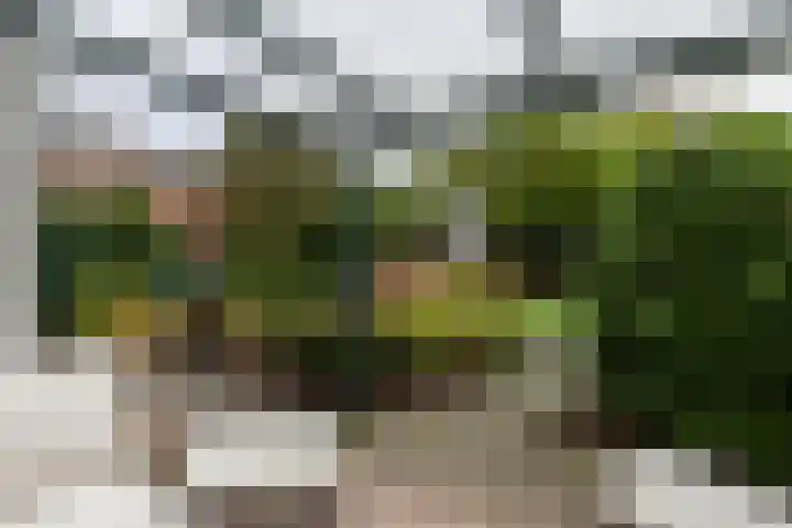Kerktorenstraat 68 Veldhoven thumbnail 34