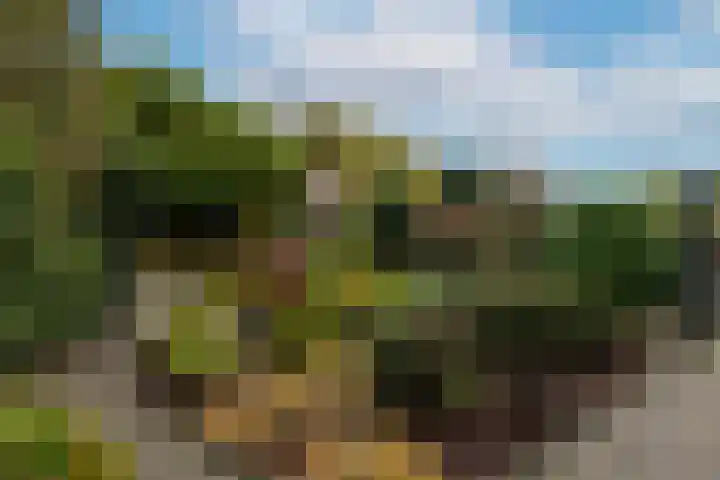 Kerktorenstraat 68 Veldhoven thumbnail 35