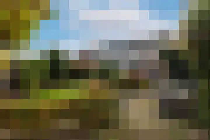 Kerktorenstraat 68 Veldhoven thumbnail 41