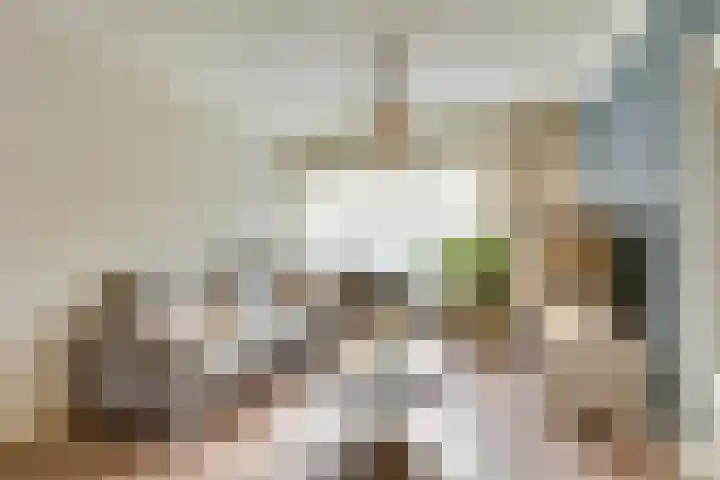Kerktorenstraat 68 Veldhoven thumbnail 7