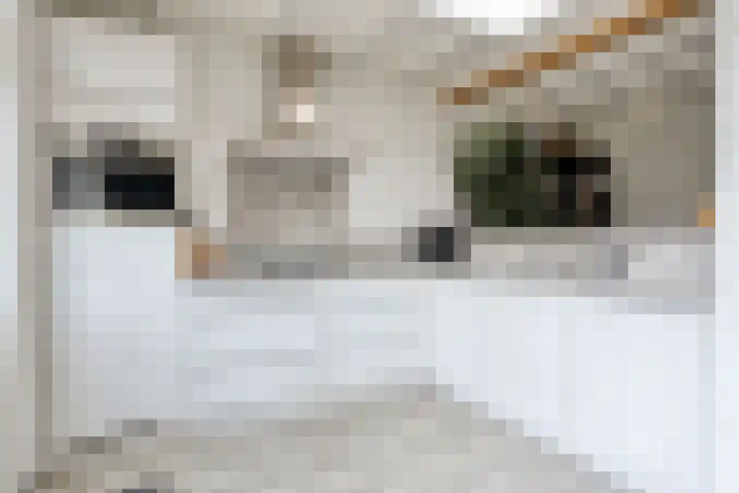 Kerktorenstraat 9 Veldhoven thumbnail 4