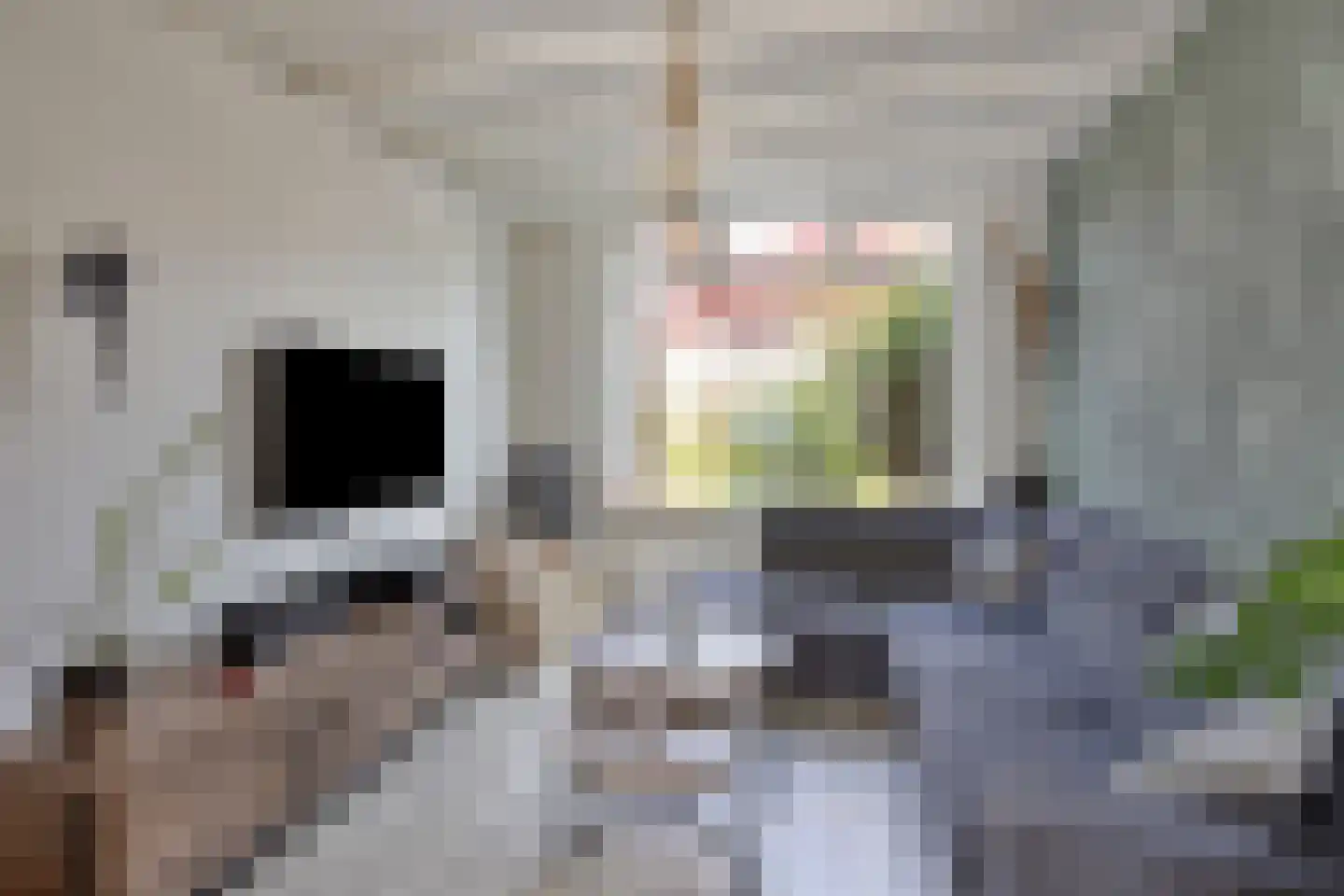 Kerktorenstraat 9 Veldhoven thumbnail 7