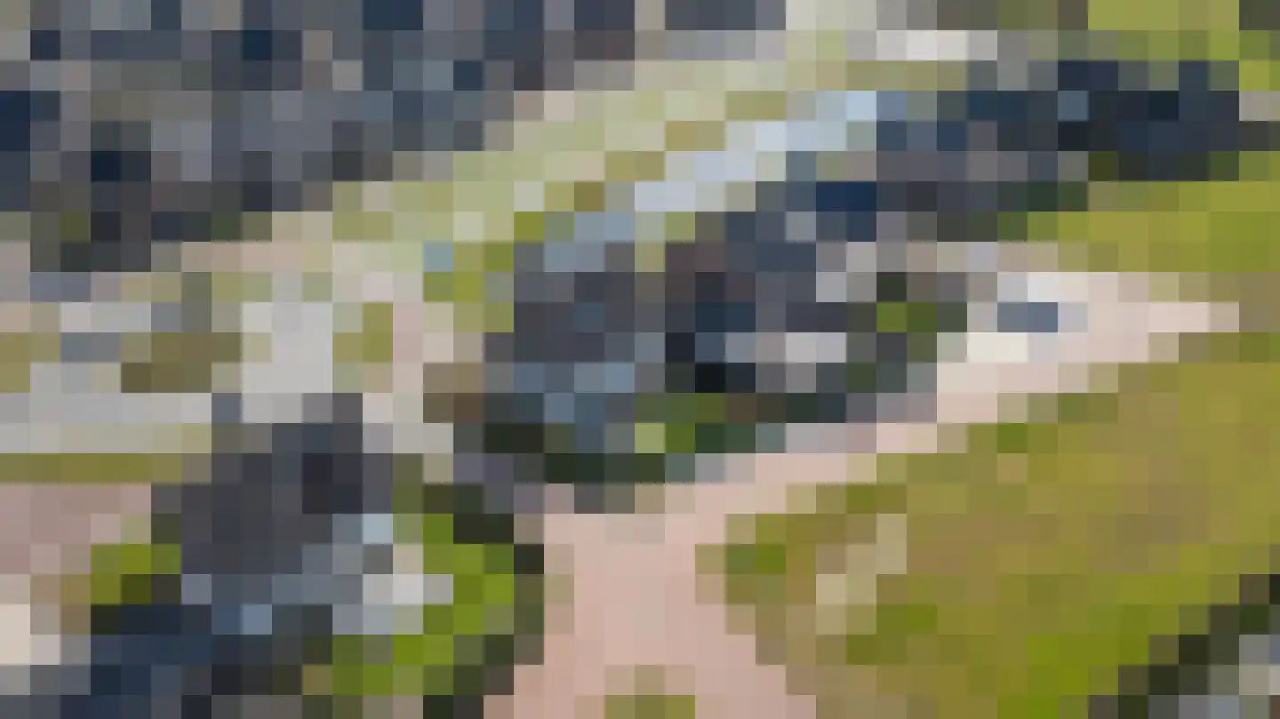 Kerkuil 15 Woudenberg thumbnail 6