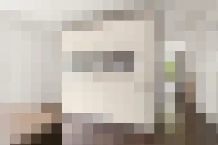 Kerkuil 2 Bergen L thumbnail 13