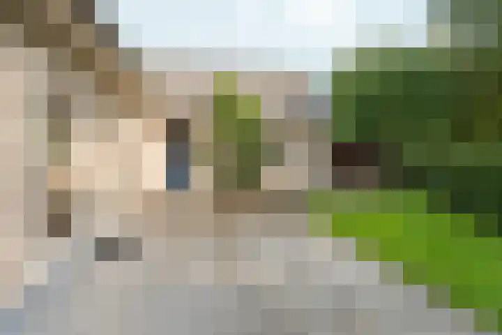 Kerkuil 2 Bergen L thumbnail 27