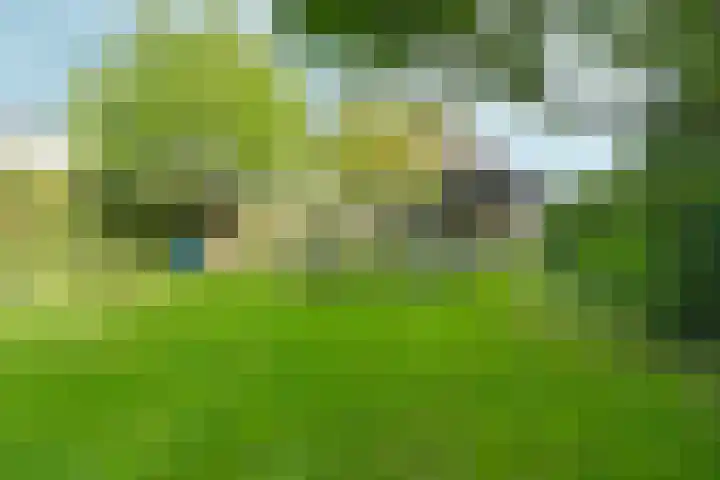 Kerkuil 2 Bergen L thumbnail 31
