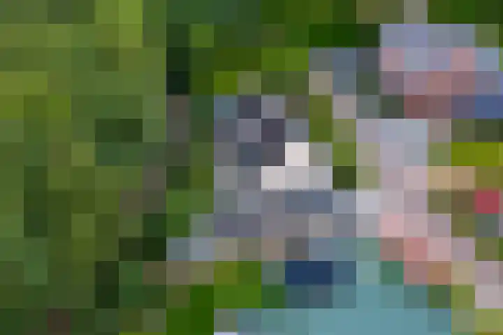 Kerkuil 2 Bergen L thumbnail 32
