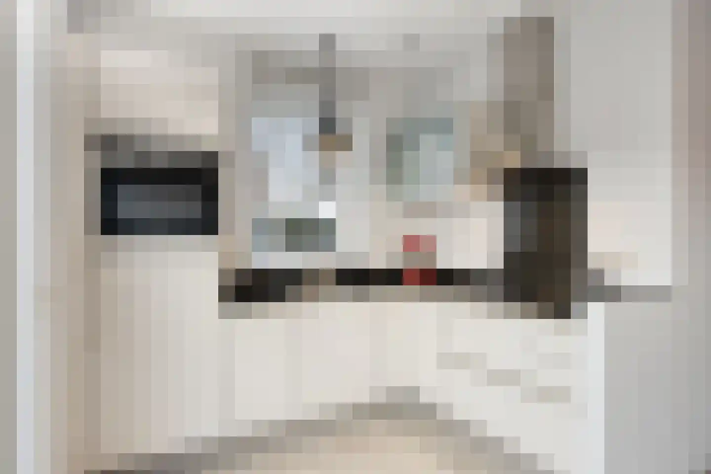 Kerkuil 2 Eijsden thumbnail 13