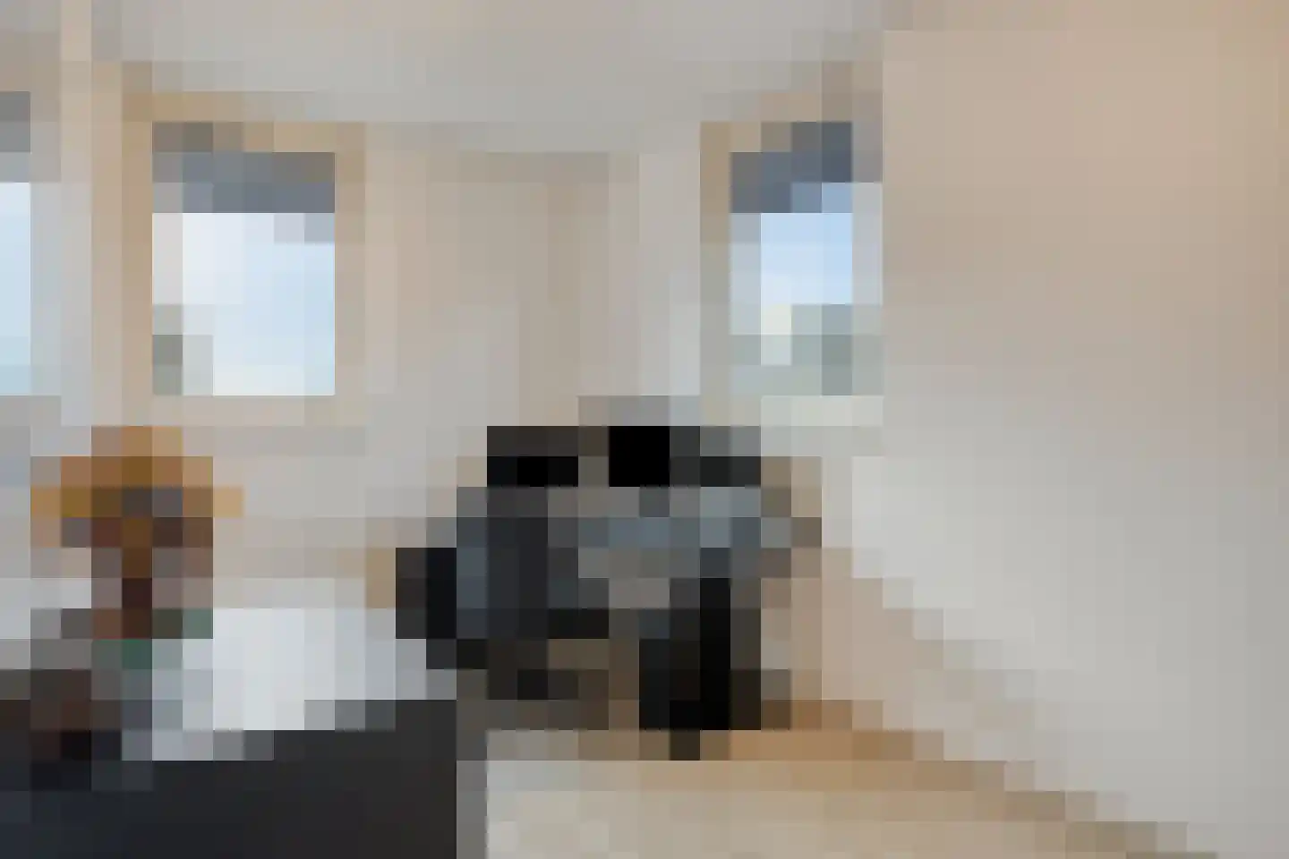 Kerkuil 2 Eijsden thumbnail 23