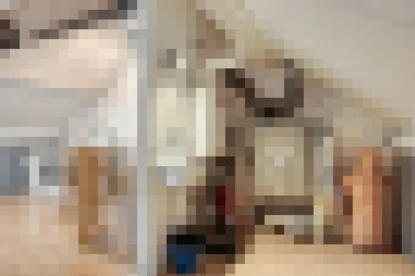 Kerkuil 2 Eijsden thumbnail 26