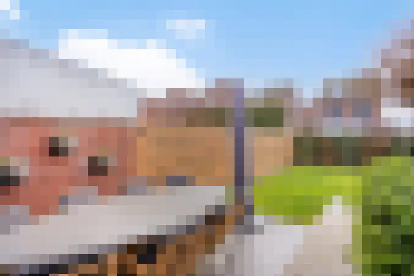 Kerkuil 2 Eijsden thumbnail 27