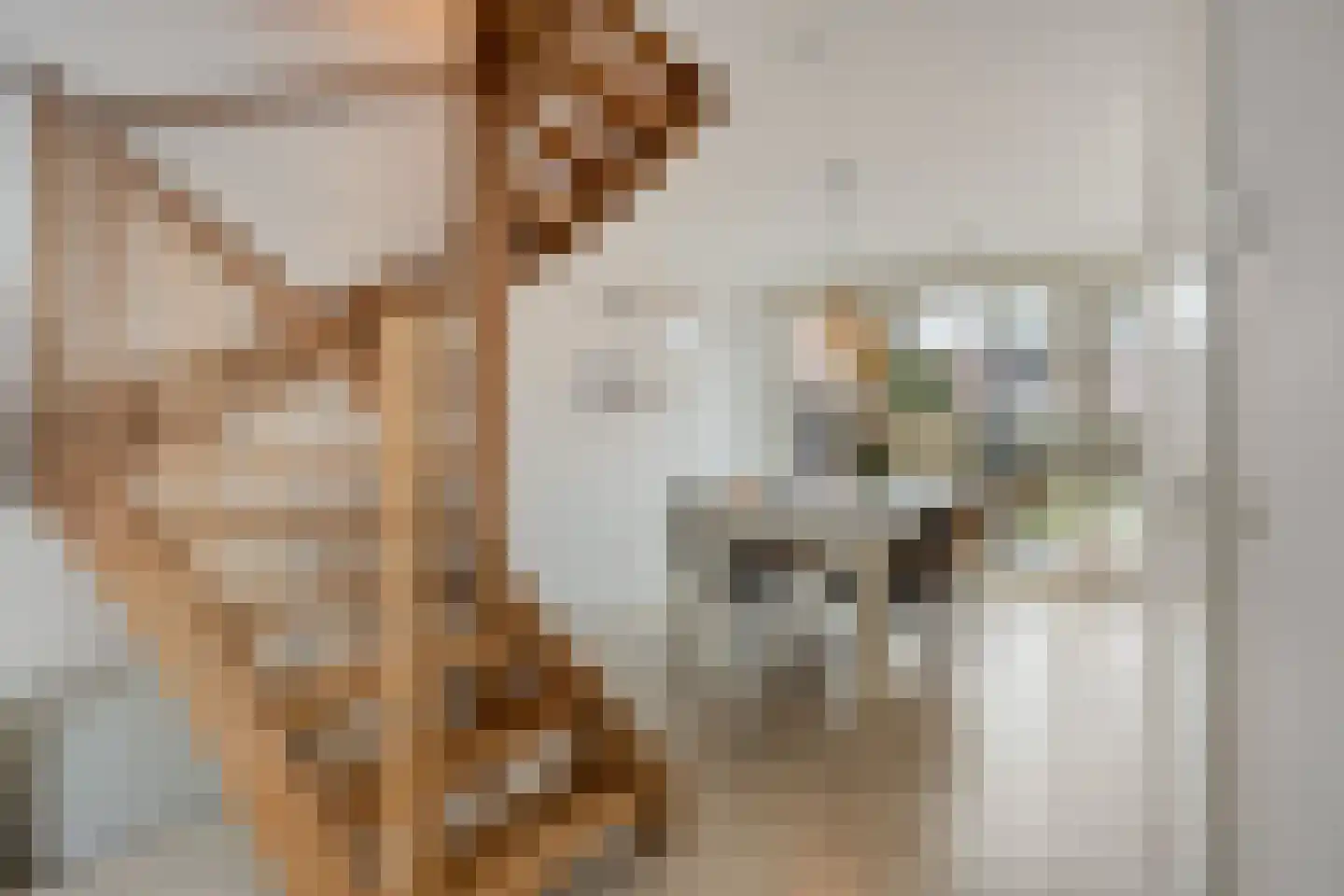 Kerkuil 2 Eijsden thumbnail 9