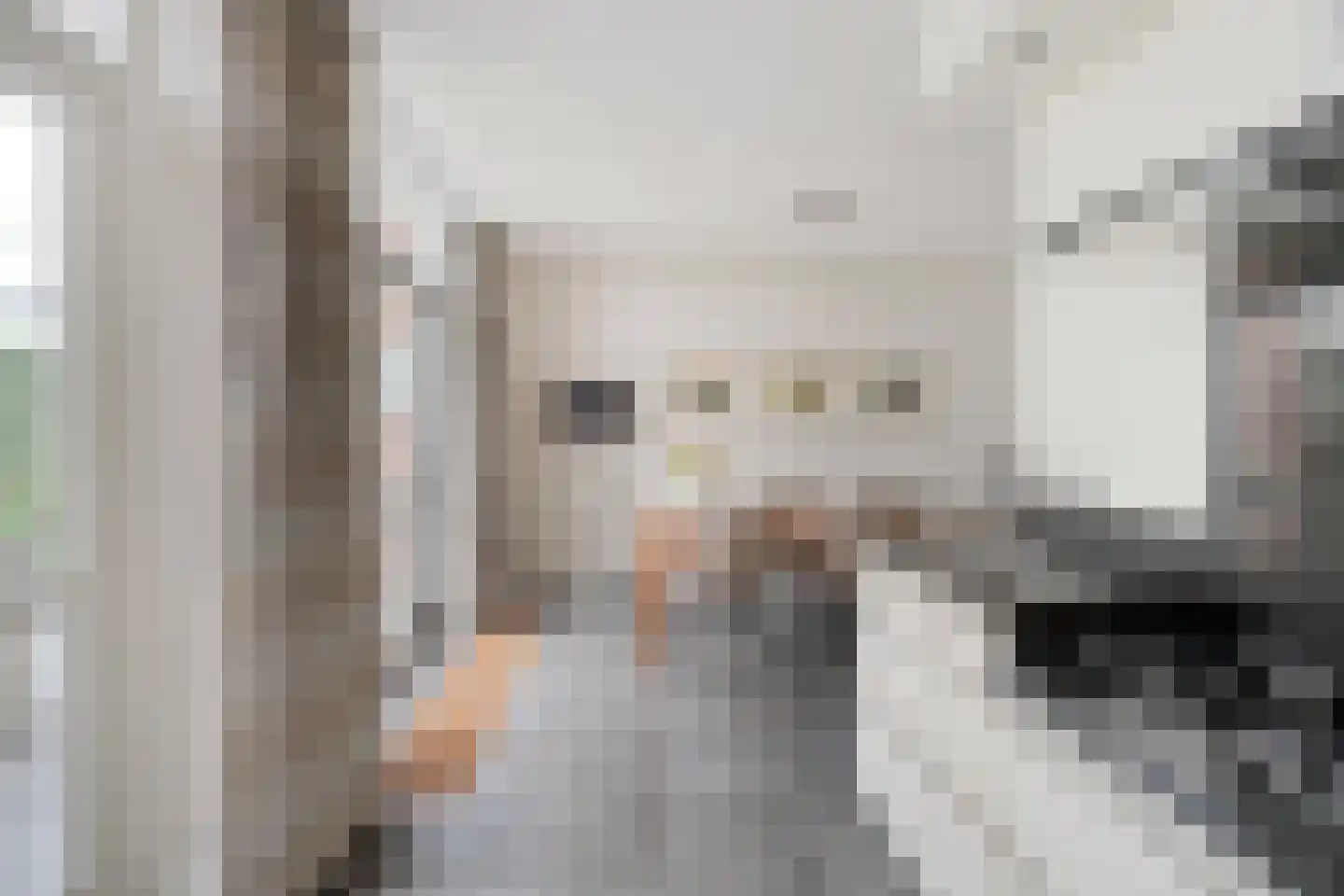 Kerkuil 20 Mierlo thumbnail 16