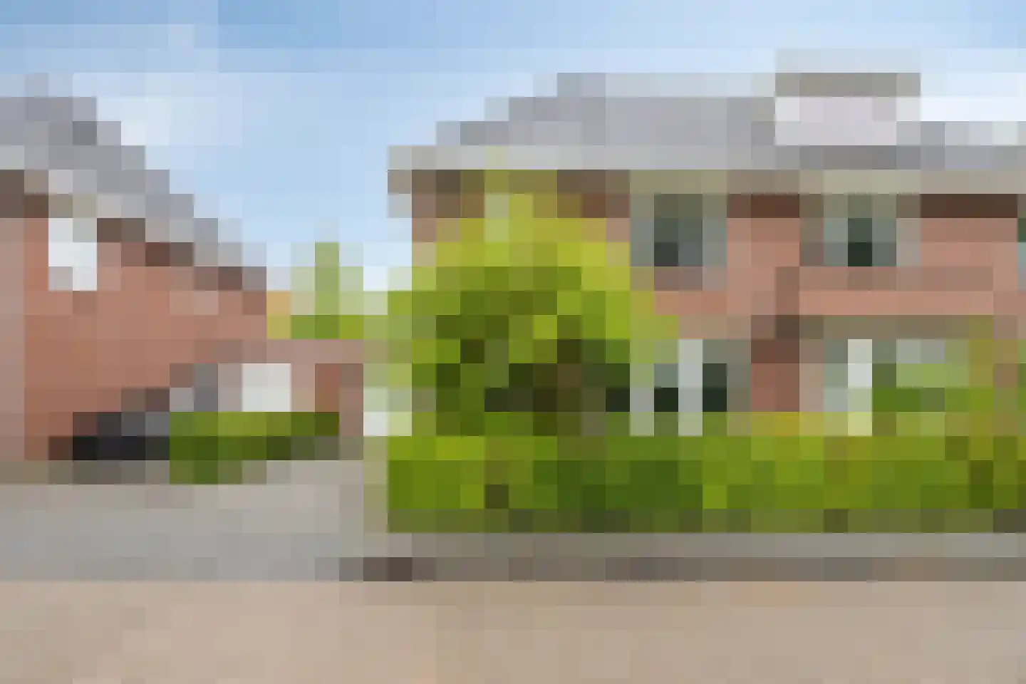 Kerkuil 20 Mierlo thumbnail 32