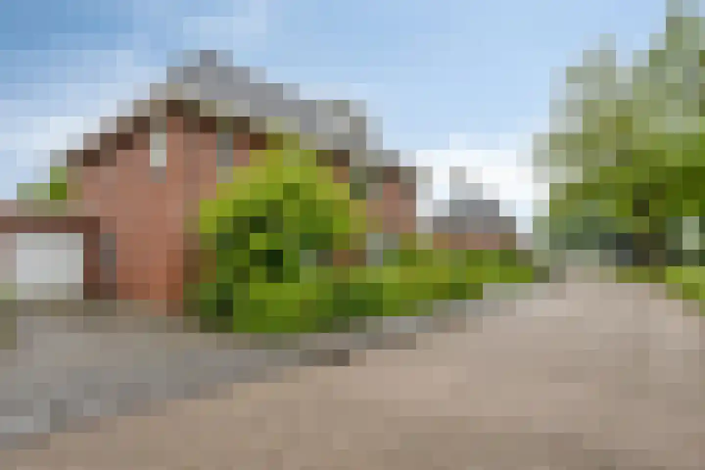 Kerkuil 20 Mierlo thumbnail 33