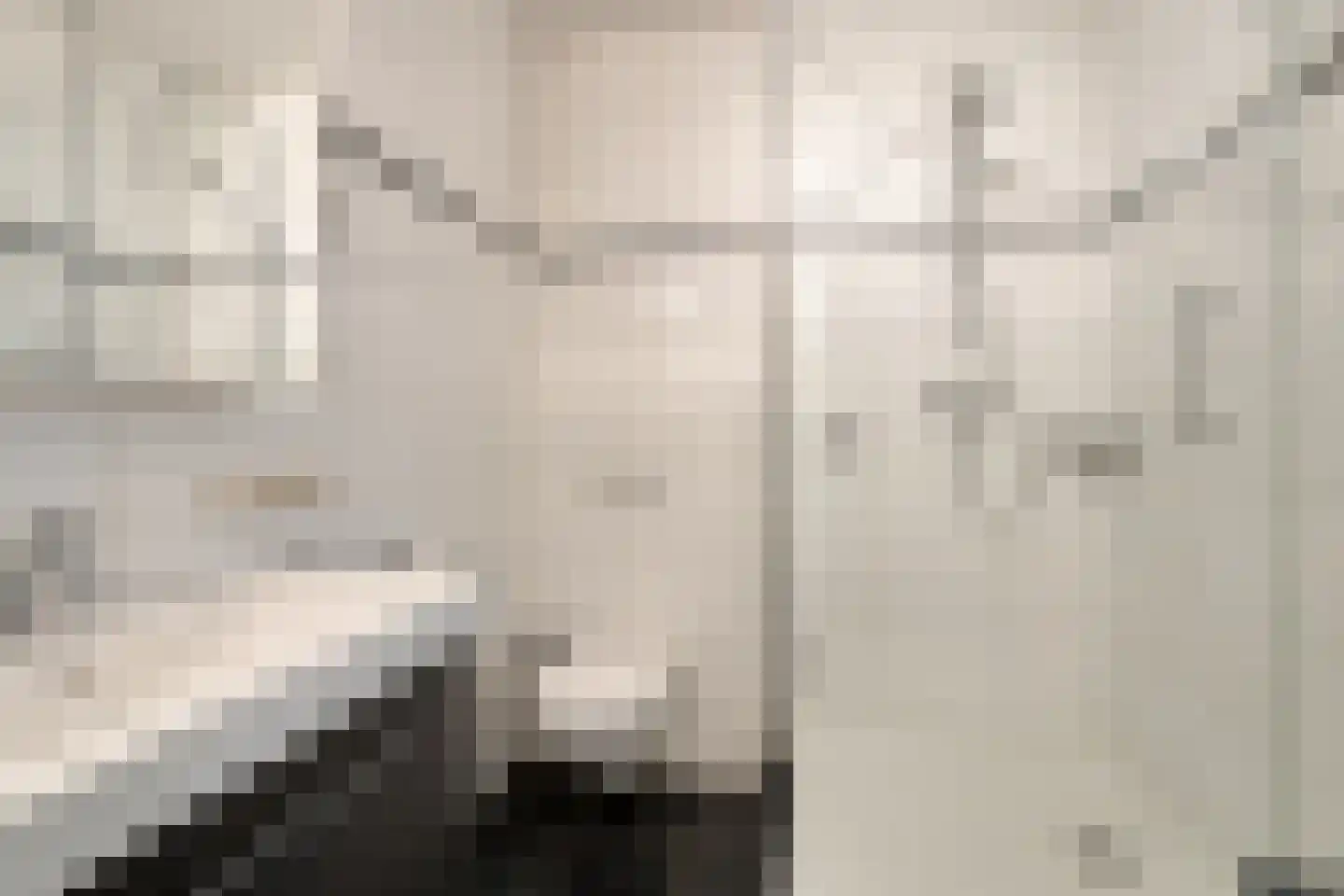 Kerkuil 20 Mierlo thumbnail 5