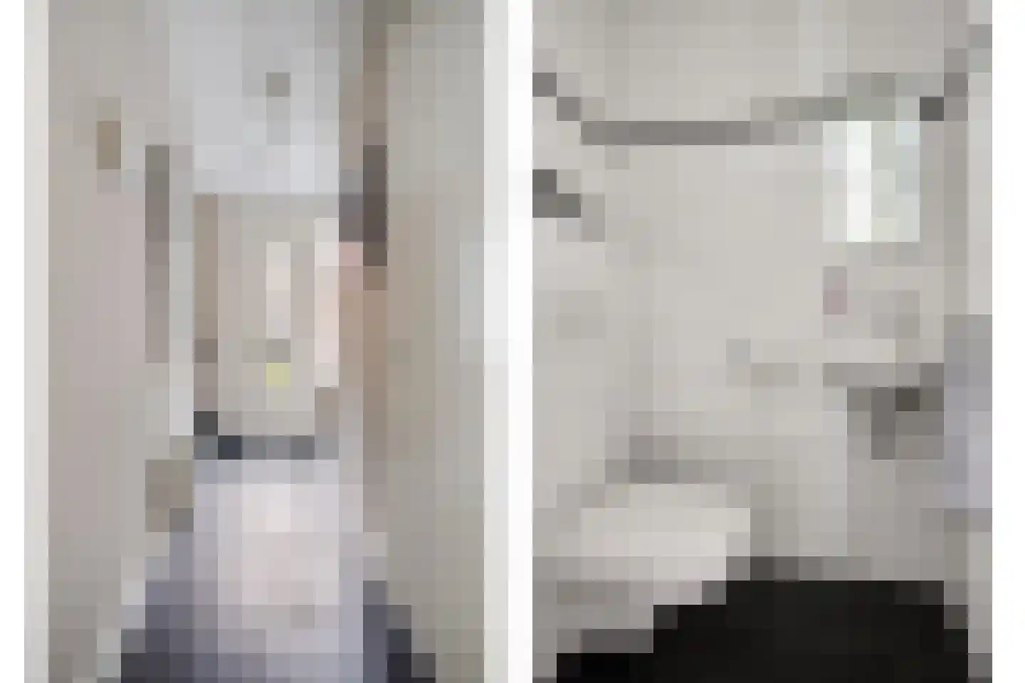 Kerkuil 20 Mierlo thumbnail 9
