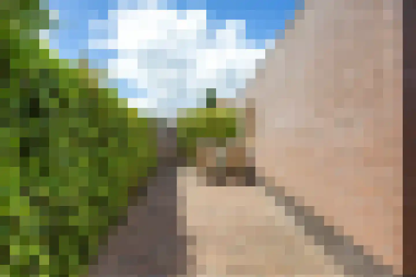 Kerkuil 21 Bedum thumbnail 61