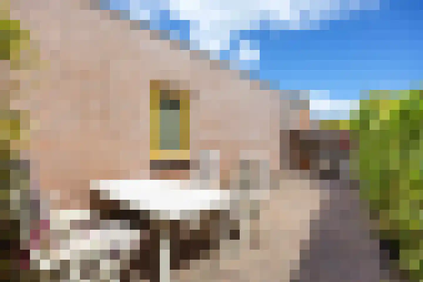 Kerkuil 21 Bedum thumbnail 62