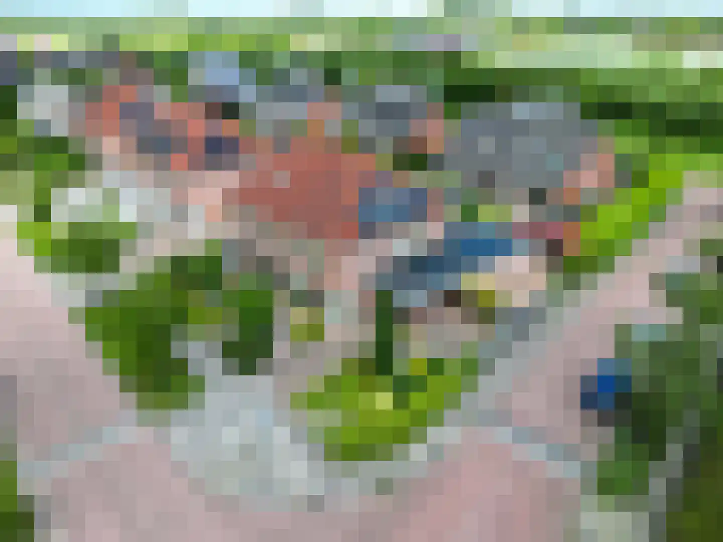 Kerkuil 21 Bedum thumbnail 63