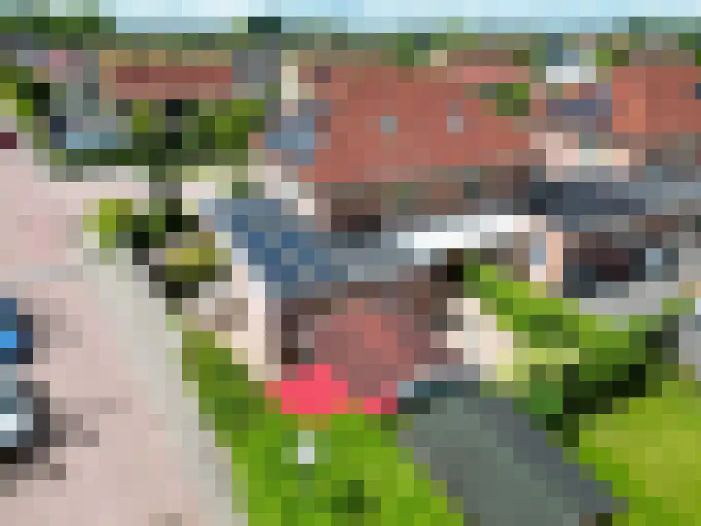 Kerkuil 21 Bedum thumbnail 64