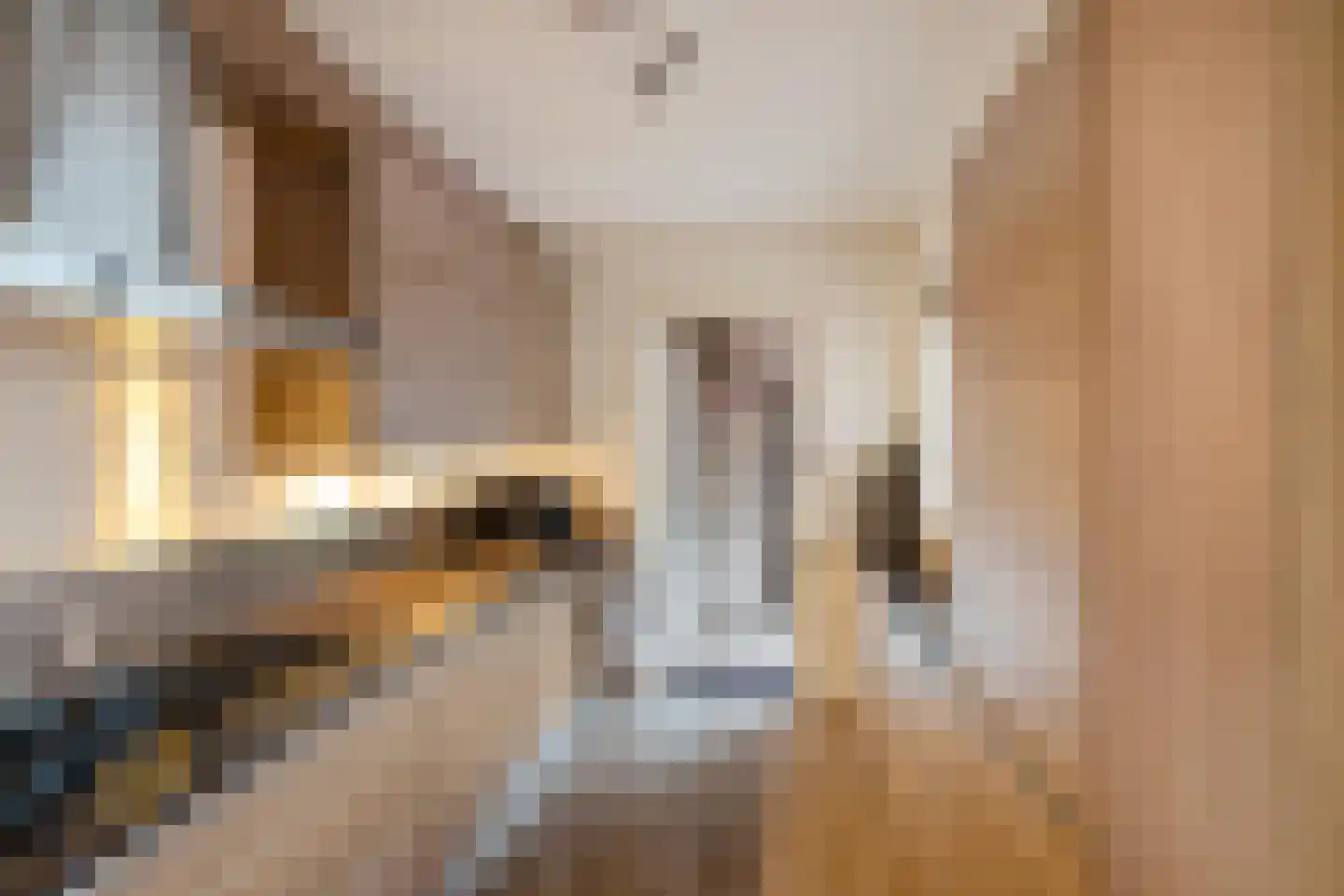 Kerkuil 23 Bedum thumbnail 14