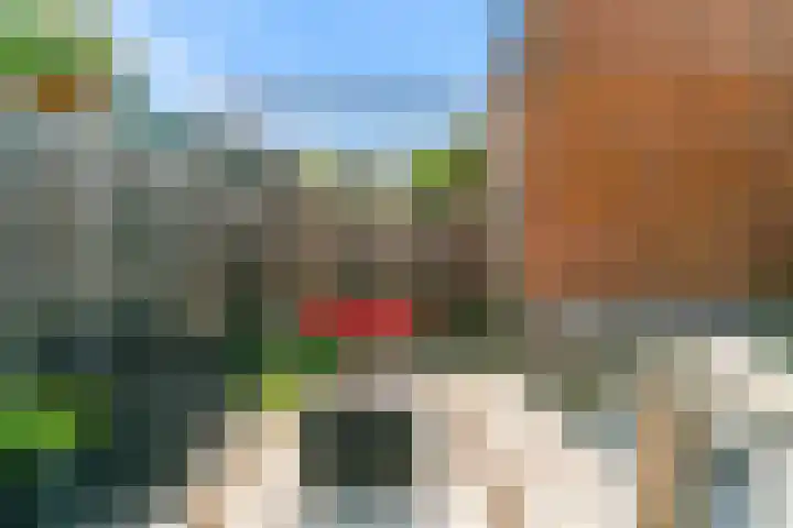 Kerkuil 23 Nieuwegein thumbnail 21