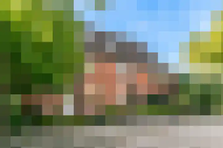 Kerkuil 23 Nieuwegein thumbnail 30