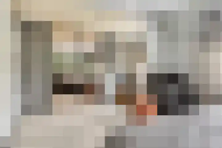 Kerkuil 24 Breda thumbnail 13
