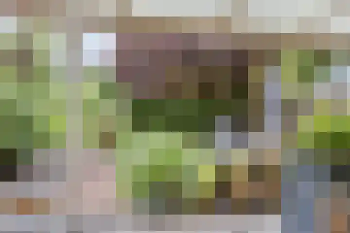 Kerkuil 24 Breda thumbnail 22
