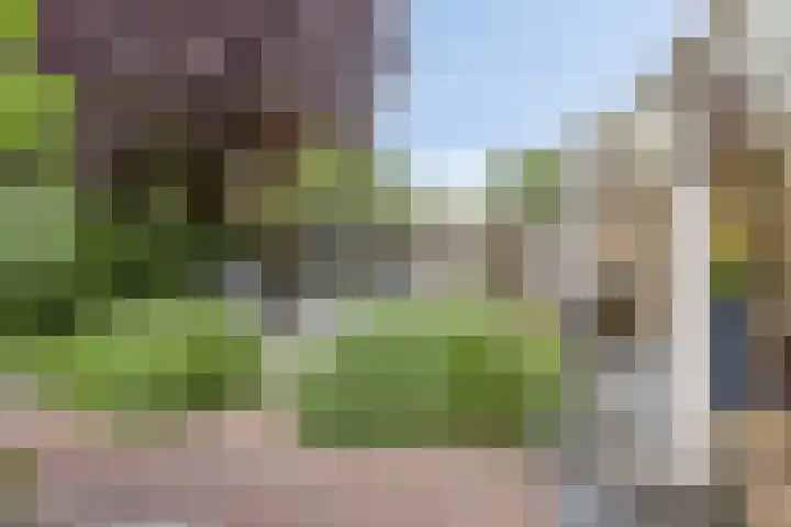 Kerkuil 24 Breda thumbnail 23
