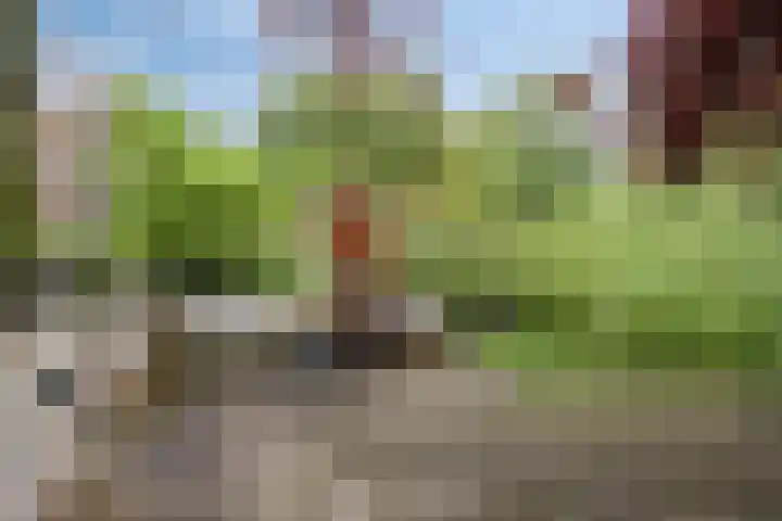 Kerkuil 24 Breda thumbnail 26