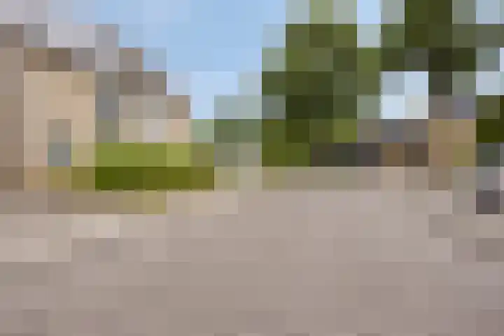 Kerkuil 24 Breda thumbnail 29