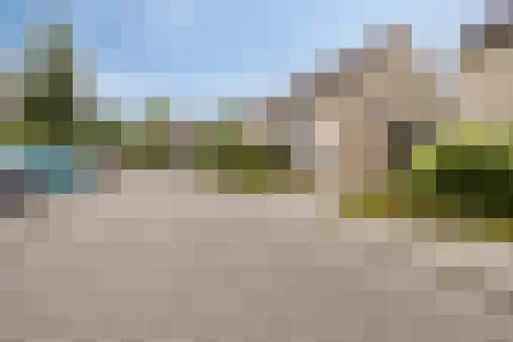 Kerkuil 24 Breda thumbnail 30