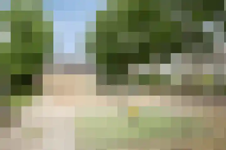 Kerkuil 24 Breda thumbnail 31