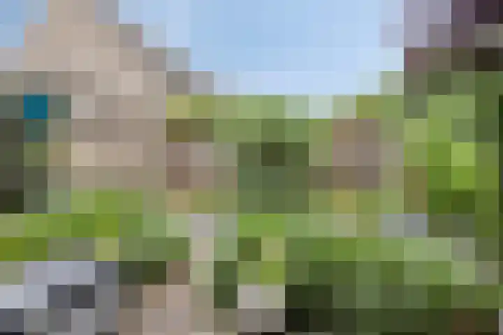 Kerkuil 24 Breda thumbnail 4