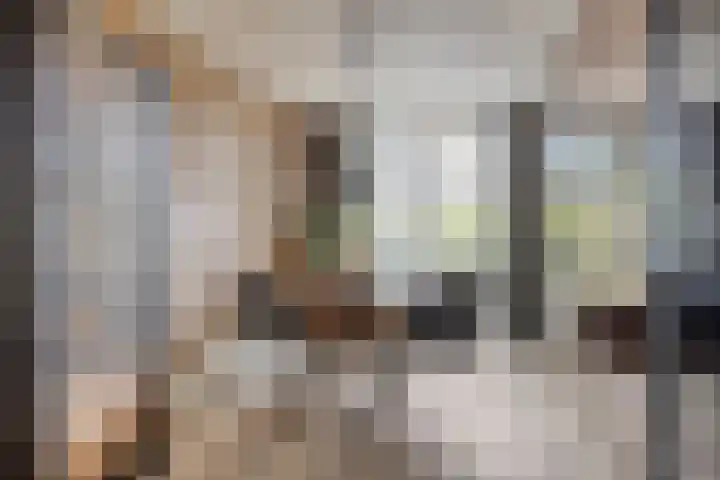 Kerkuil 24 Breda thumbnail 6