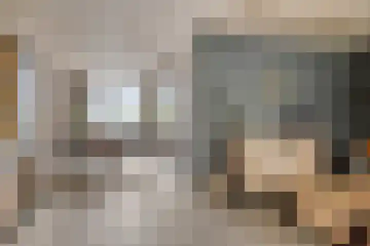Kerkuil 24 Breda thumbnail 8