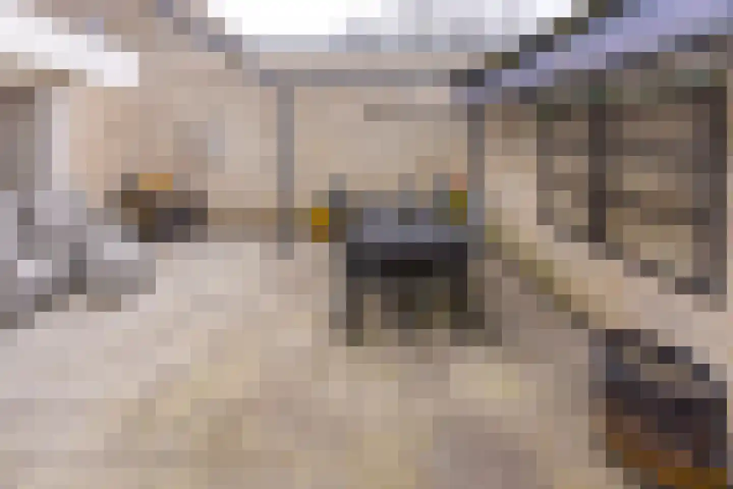 Kerkuil 3 Emmen thumbnail 38