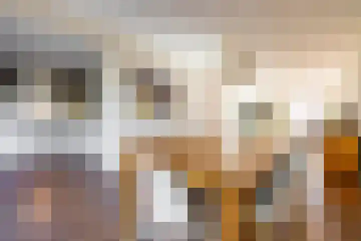 Kerkuil 32 Bedum thumbnail 19