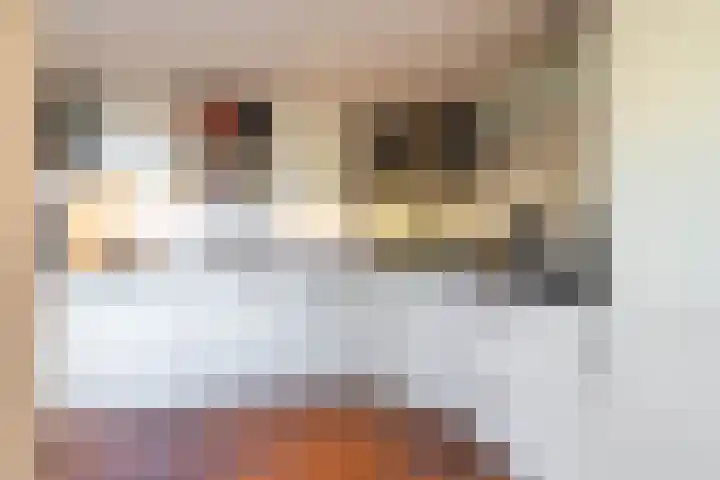 Kerkuil 32 Bedum thumbnail 21