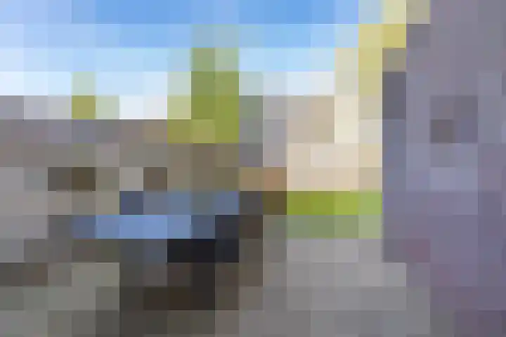 Kerkuil 32 Bedum thumbnail 30