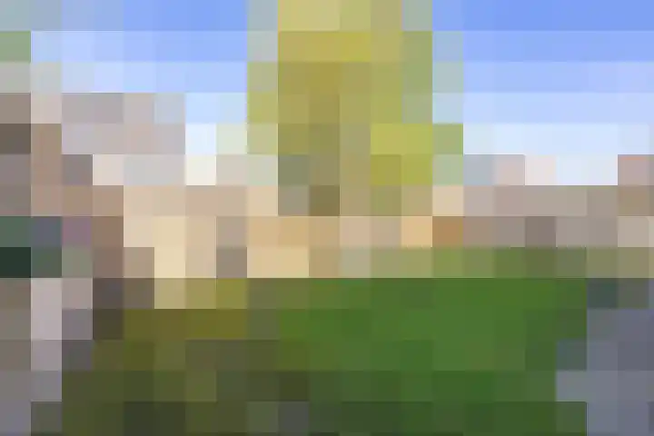 Kerkuil 32 Bedum thumbnail 31