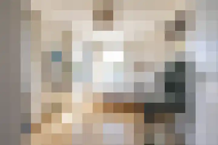 Kerkuil 32 Bedum thumbnail 38