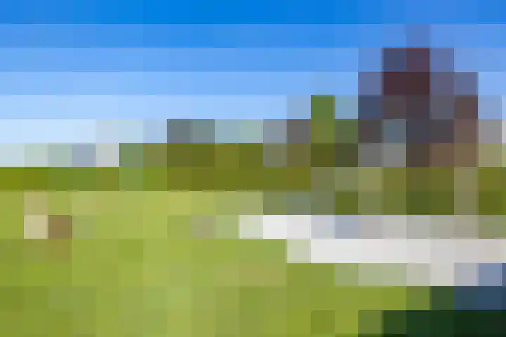 Kerkuil 32 Bedum thumbnail 57
