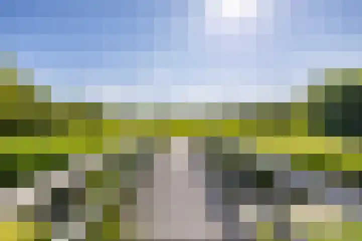 Kerkuil 32 Bedum thumbnail 58